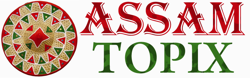 Assam Topix Blog