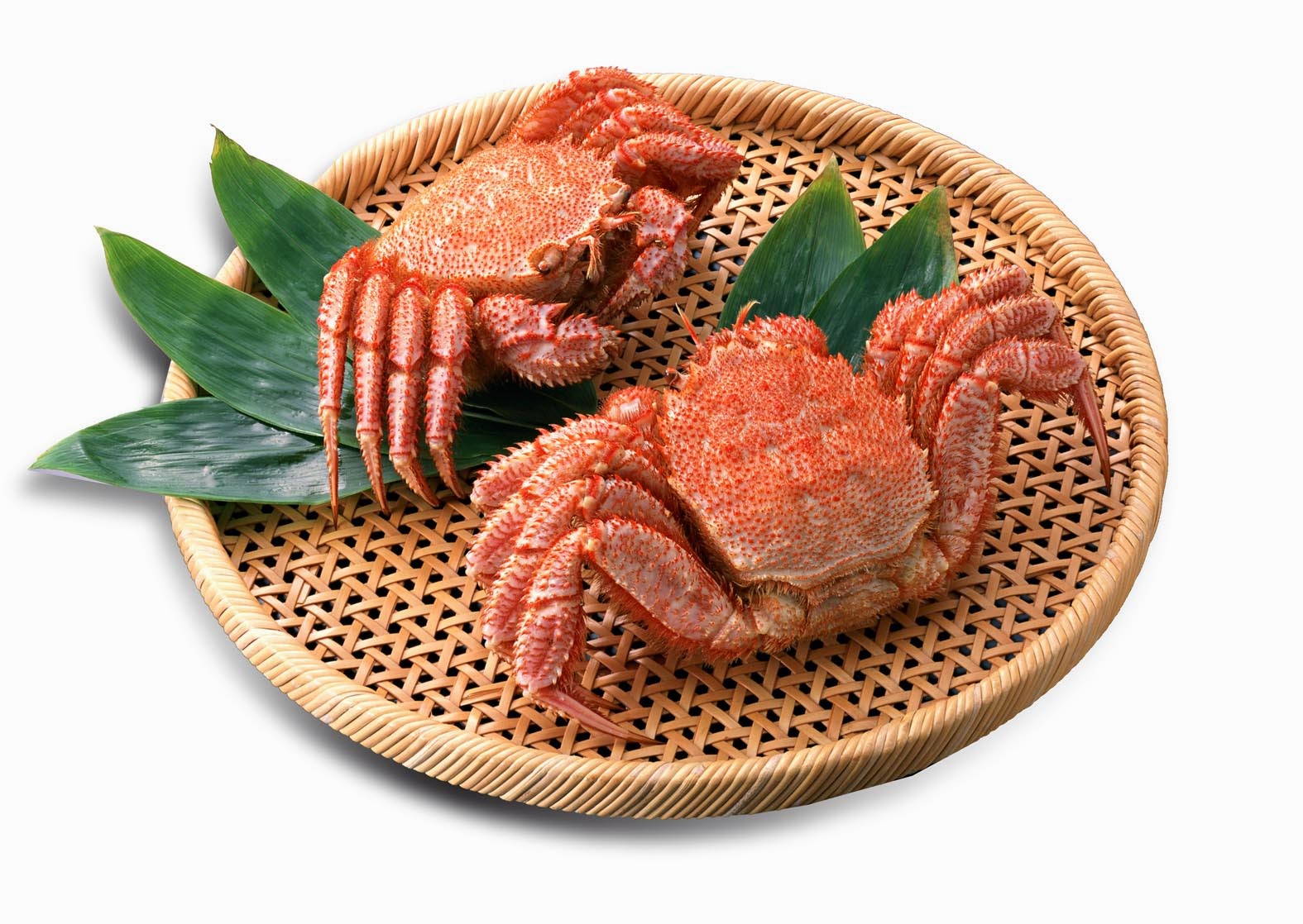 魚香味噌毛蟹鍋 詹姆士 20131001 琅環福地 痞客邦