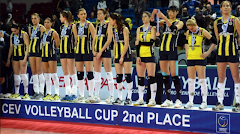 2012-2013 CEV CUP 2.Sİ