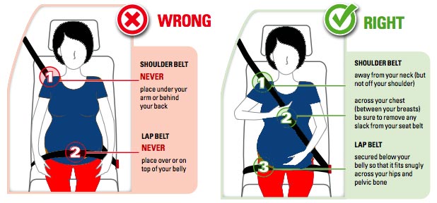 Seat Belt Safety