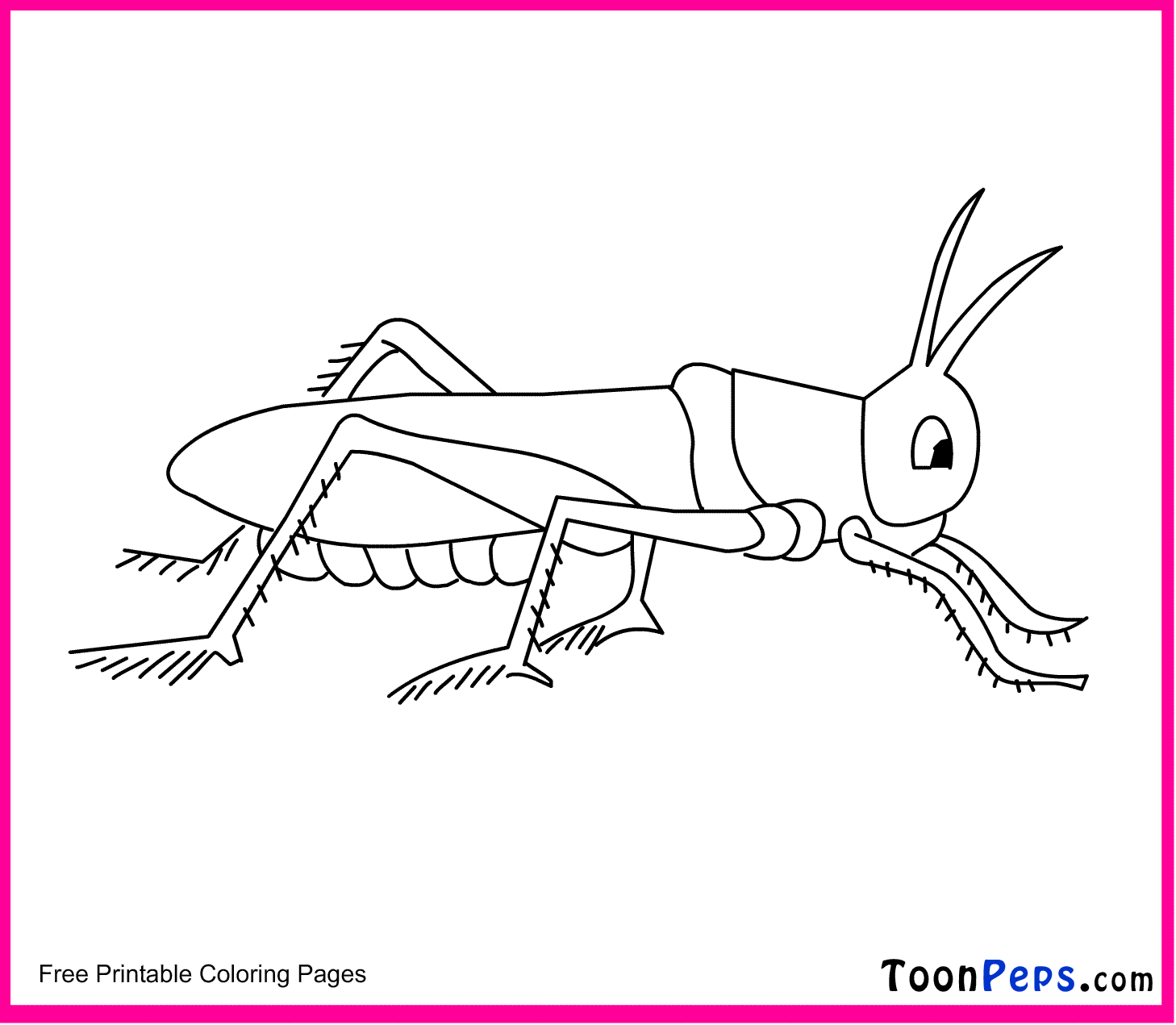 Grasshopper Printable Coloring Pages