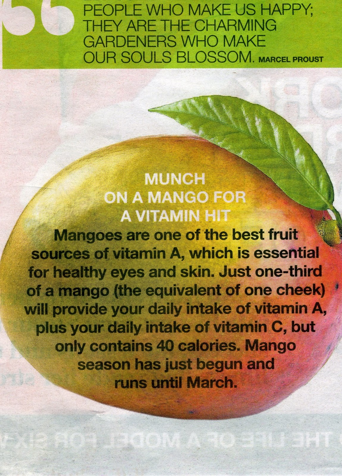 MANGO SEASON IN AUSTRALIA WHEN IT COMES TO RESEARCH & PROMOTION NOBODY DOES IT BETTER...