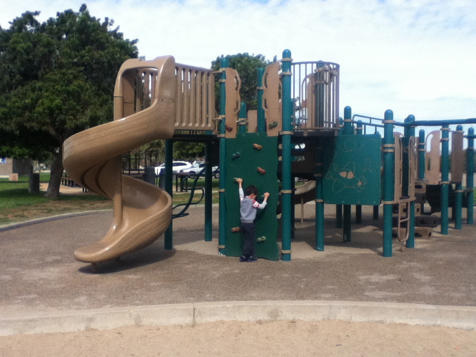 Little Patch of Earth Goleta Beach Park