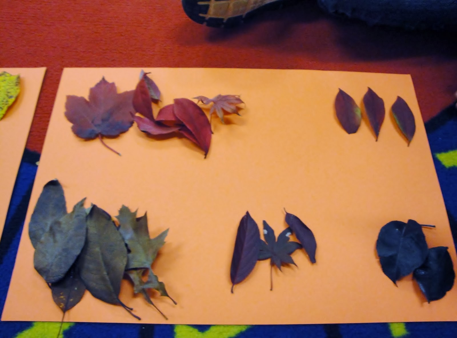 kindergarten cafeteria: Fall Math Ideas