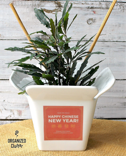 Thrift Shop Chinese Takeout Bowl Planter With Packing Tape Label #Chinesetakeout #funplanter #funflowerpot #packingtapelabel #packingtapeimagetransfer