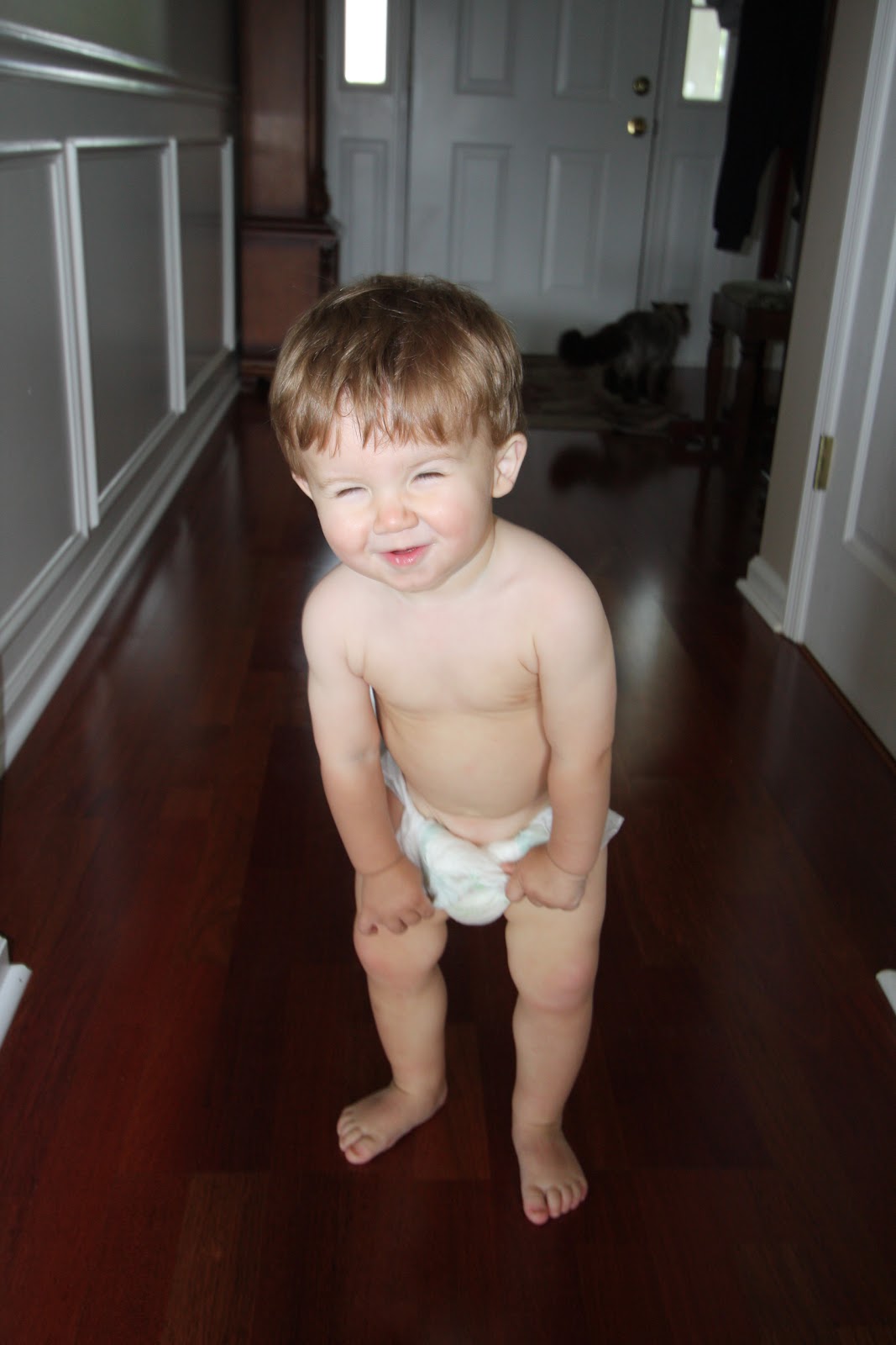 A Daily Dose of Crazy Diaper Boys