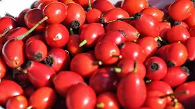 rosehip oil for burning scars