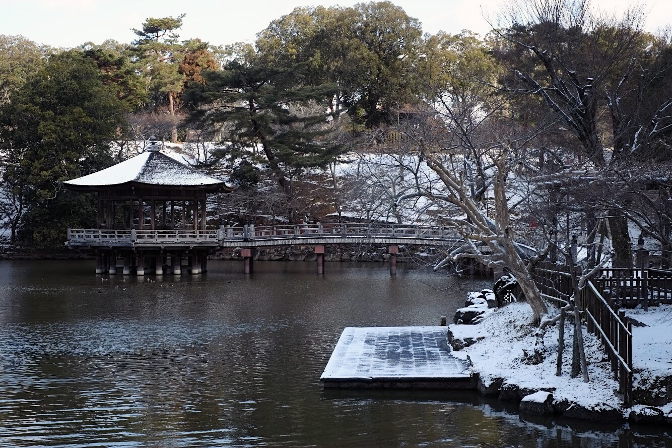 A Snowy Winter Day in Nara