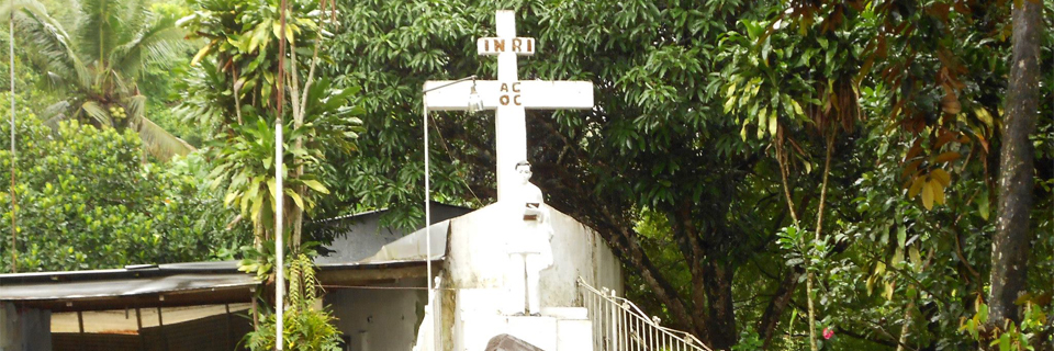 Omnis dolor repellendus