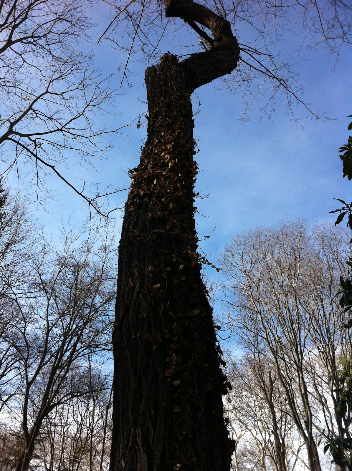 Çilek Seven Papağan Bugün Ne Yaptım 3 (Gülhane Gezisi)