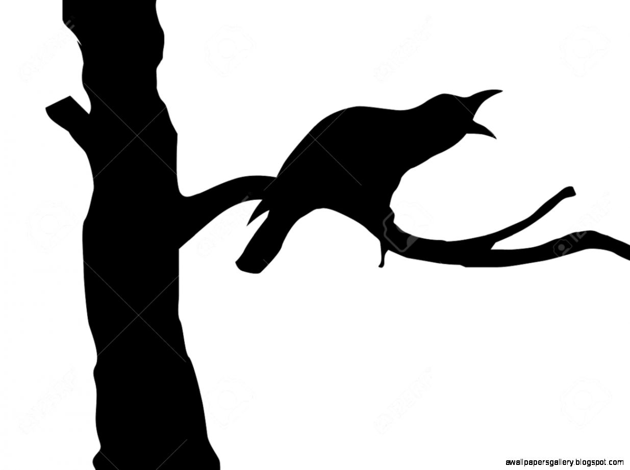 Crow On Branch Silhouette