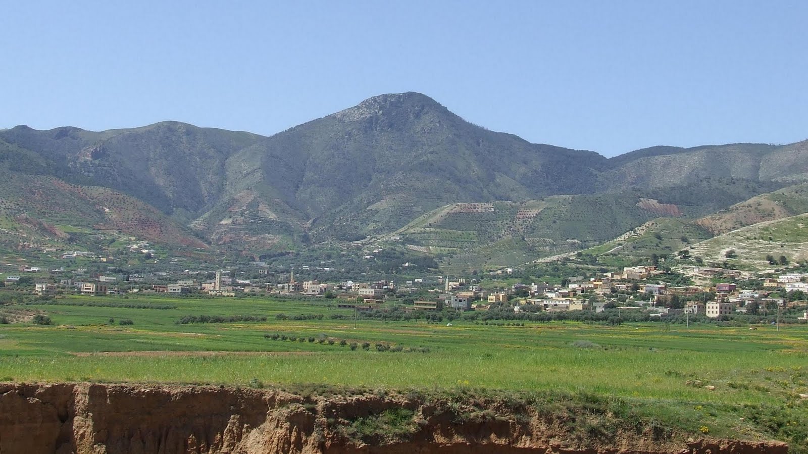 tafersit foto tafersit