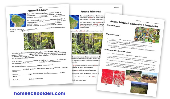 The Homeschool Den: Rain Forest Plants Activity