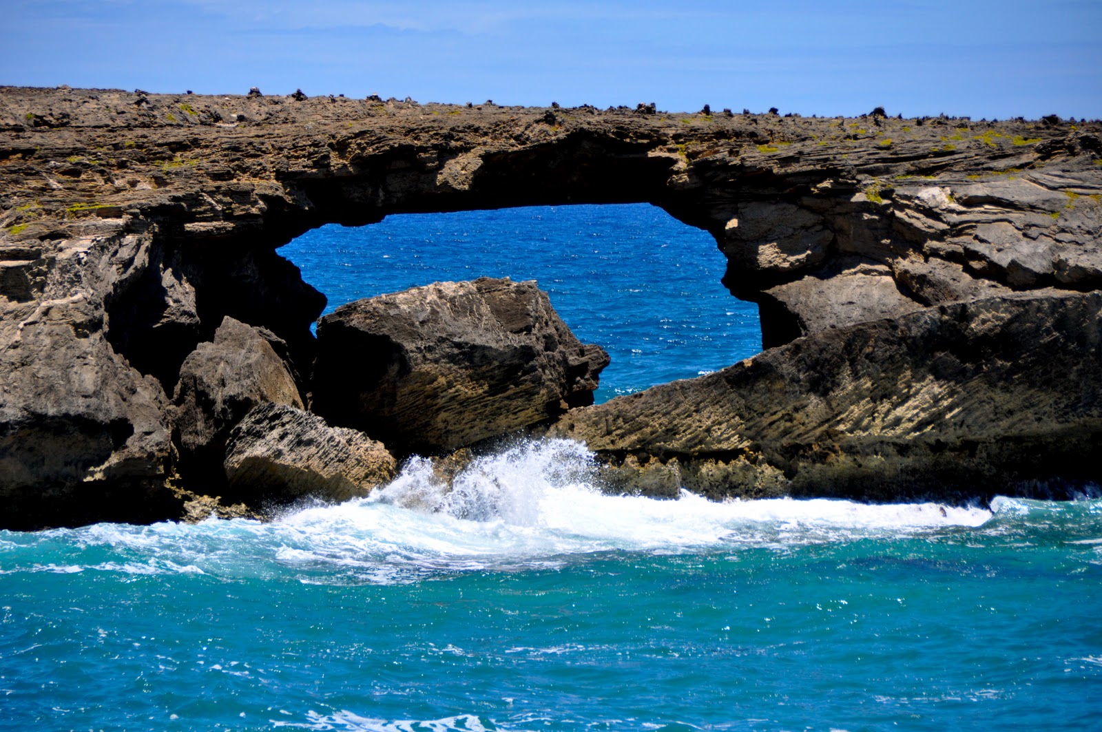 Things to do in LAIE, HAWAII...