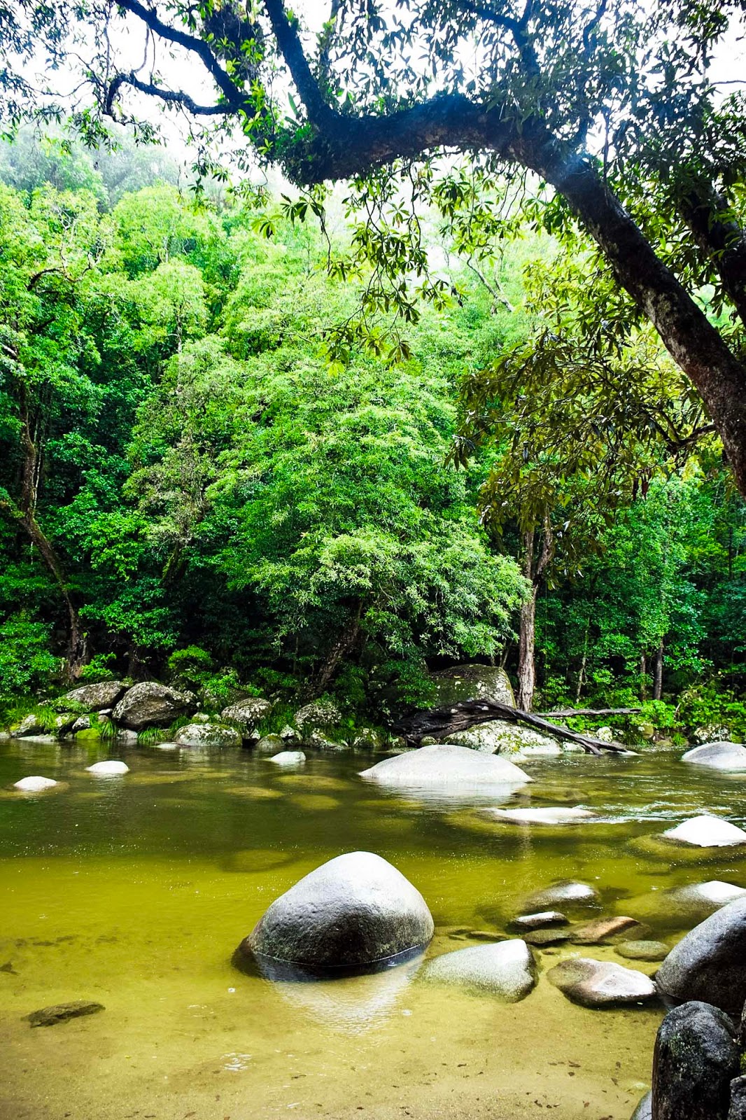 mossman gorge