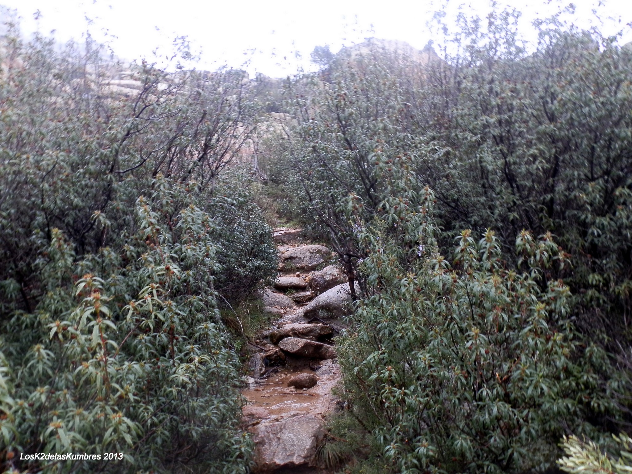 Rutas por la Pedriza