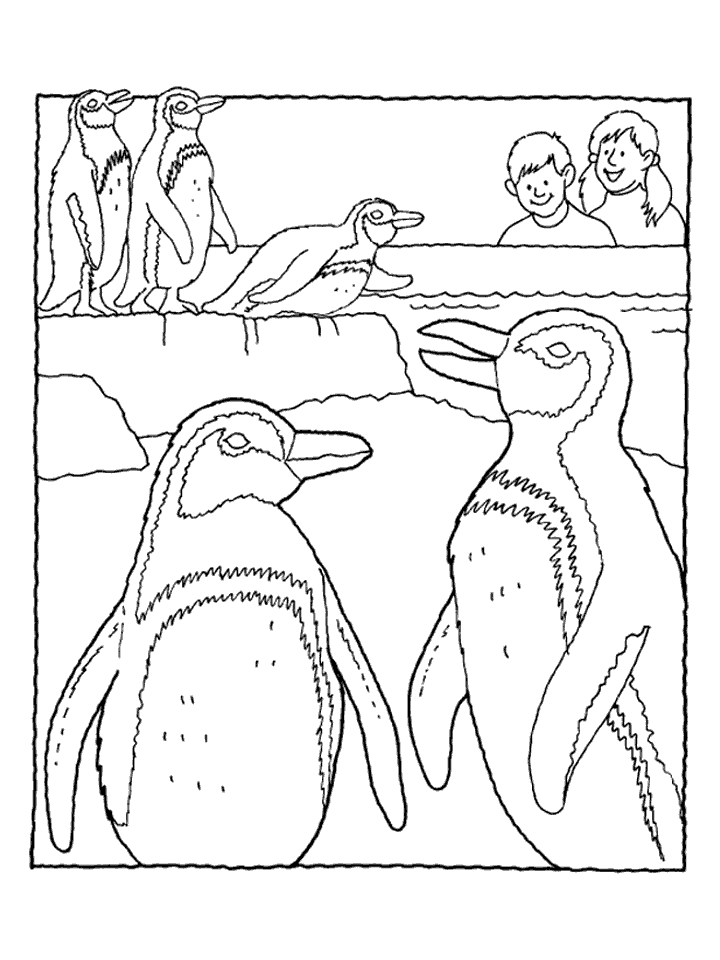 Zoo Penguin Coloring Pages