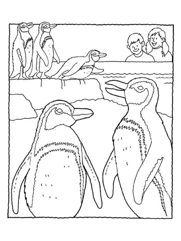 Zoo Penguin Coloring Pages title=