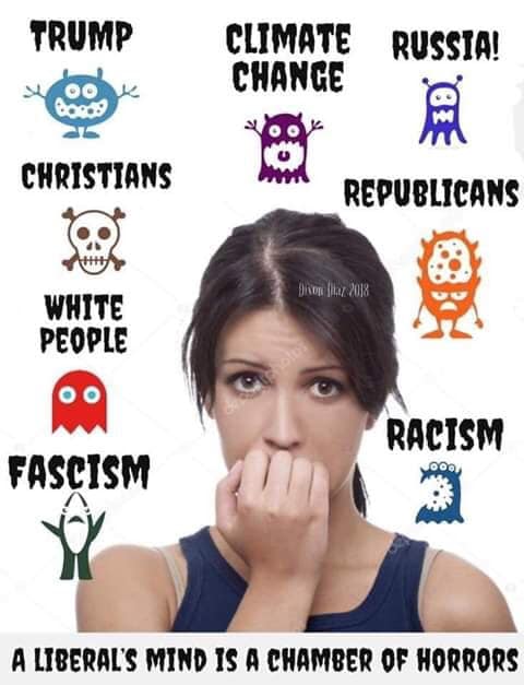 LIBERALS%2B%25282%2529.jpg
