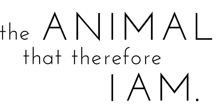 The animal that therefore I am - Exhibition