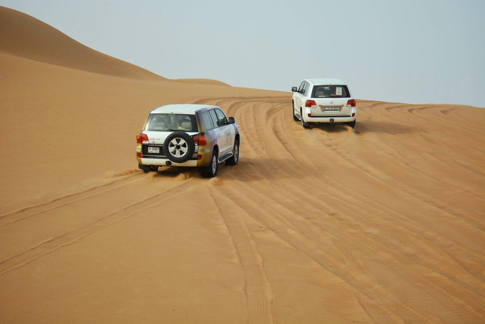 Dubai Desert Safari Experience