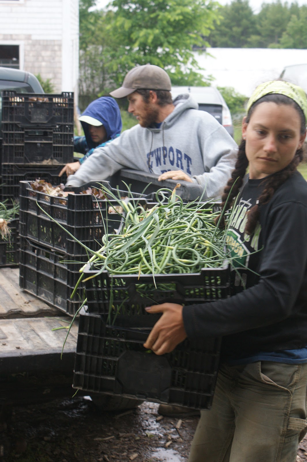 Broadturn Farm Work Exchange (Career Exchange)