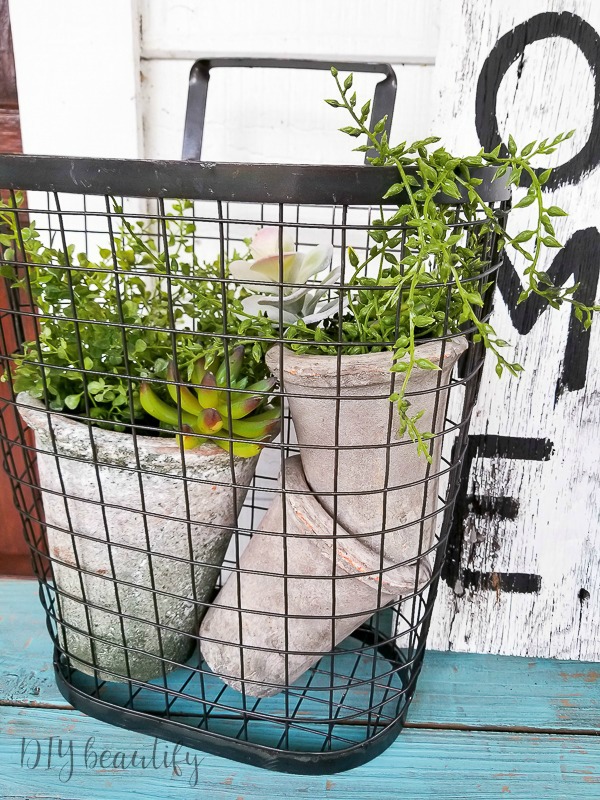 inexpensive succulents in pots