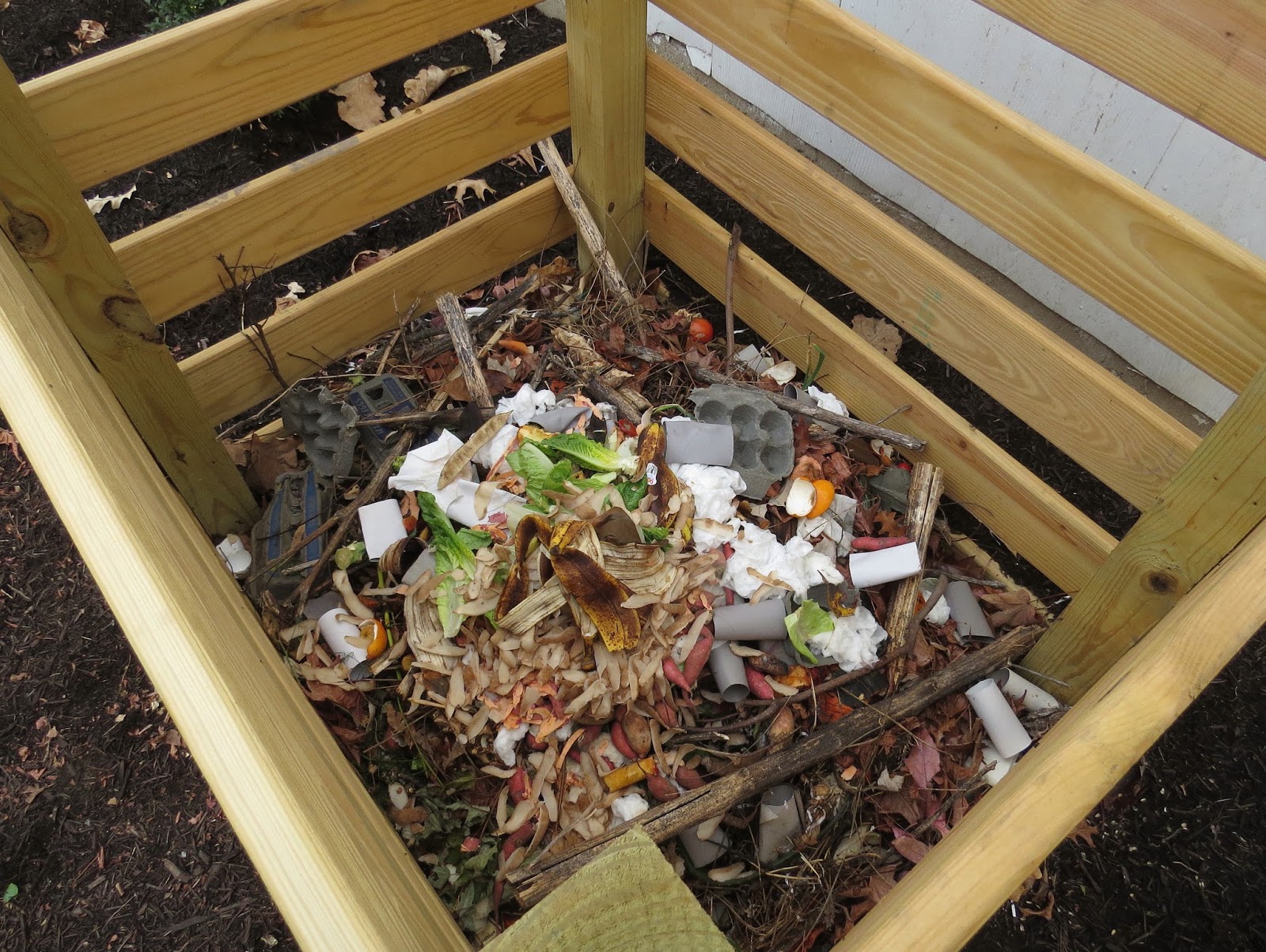 Bug Eric Compost Insects