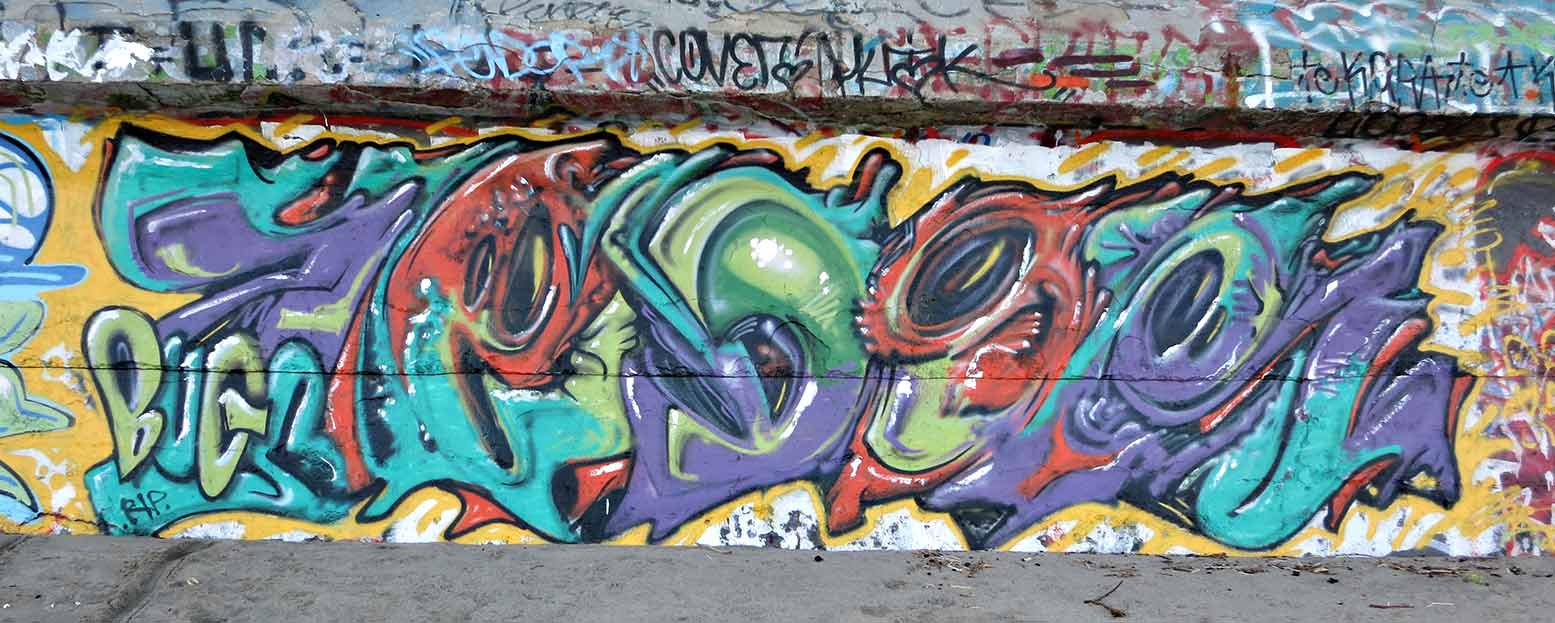 The Real Dwayne Allen Com Street Art Donald Duck Graffiti
