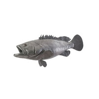 https://www.ceramicwalldecor.com/p/estuary-cod-fish-wall-decor.html