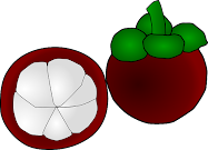 buah manggis