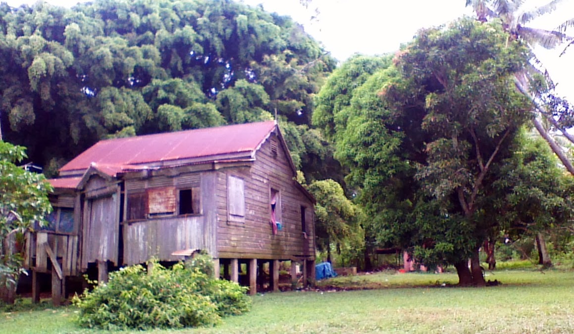 Testimonies from Tonga TONGAN HOUSES