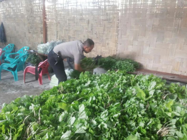 Polisi Ini Rela Bagikan Gajinya Demi Tolong Warga Hingga Diusir Istri Dari Rumah, Hingga Jualan Sayur Polisi Ini Rela Bagikan Gajinya Demi Tolong Warga Hingga Diusir Istri Dari Rumah, Hingga Jualan Sayur