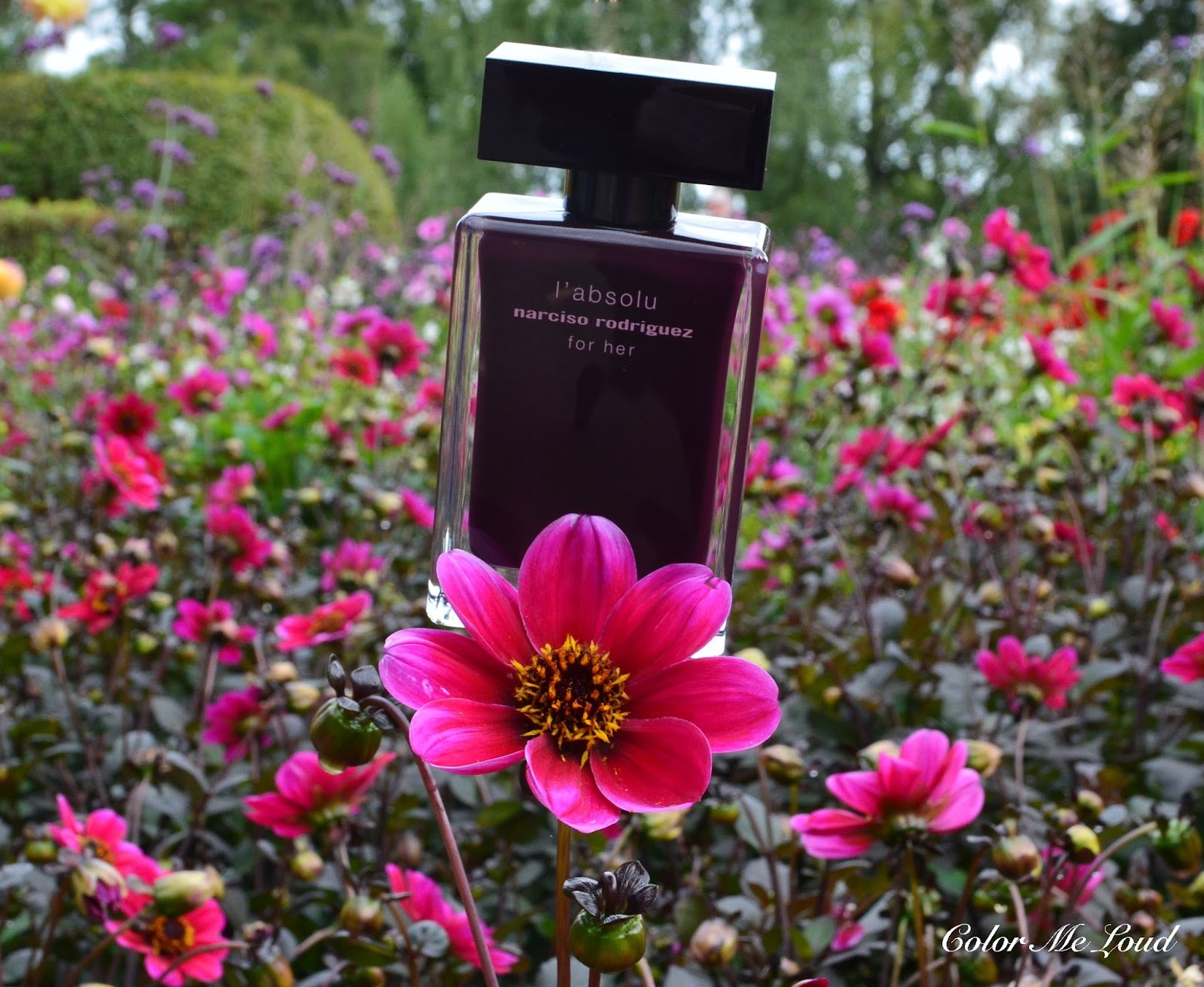 Narciso Rodriguez L'Absolu For Her Eau de Parfum, Review | Color Me Loud