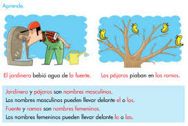http://www.primerodecarlos.com/SEGUNDO_PRIMARIA/enero/tema2/actividades/lengua/aprende_genero/visor.swf