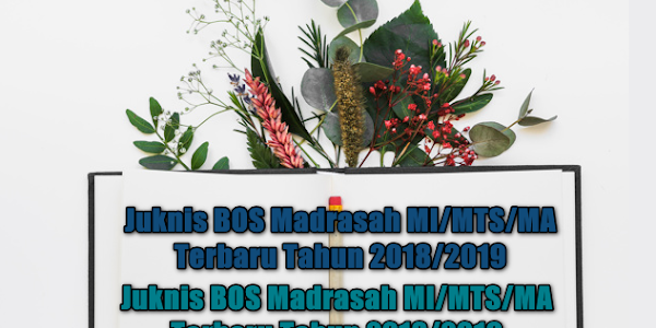 Juknis BOS Madrasah MI/MTS/MA Terbaru Tahun 2018/2019