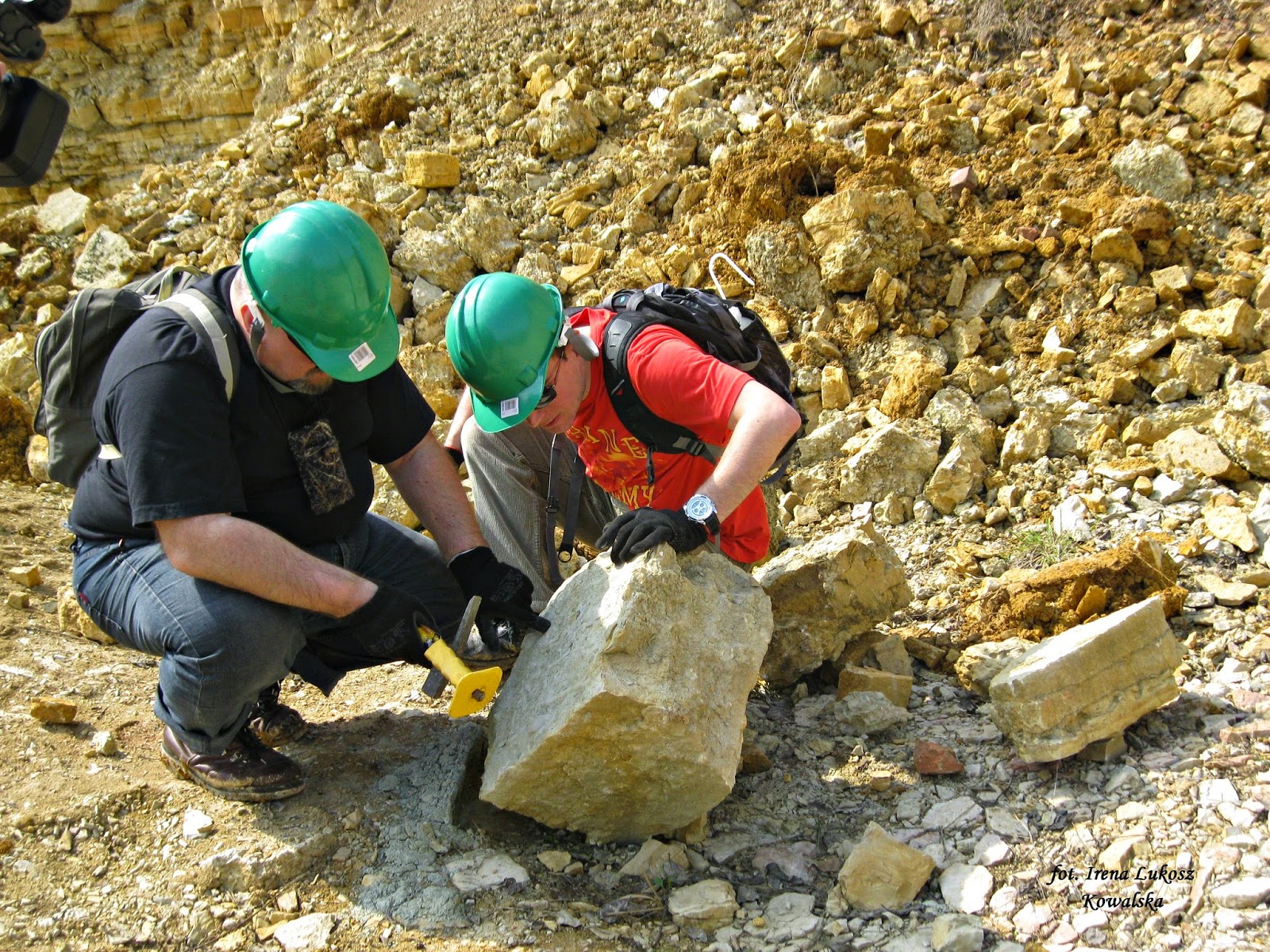 Ciekawostki z Tarnowskich Gór i nie tylko... Notozaury z Żyglina