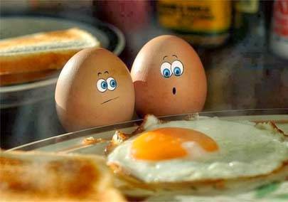 Bahaya Mengkonsumsi Telur Setengah Matang
