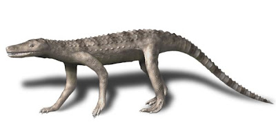 reptiles primitivos del jurasico Dibothrosuchus