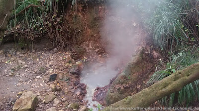 Dominica Regenwald Schwefelquelle