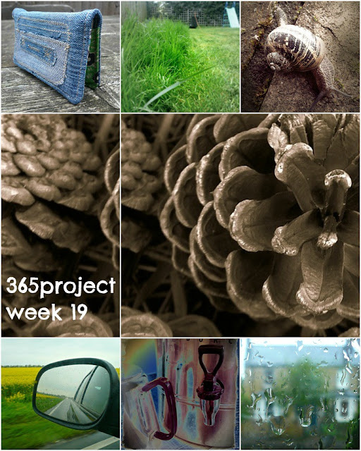 Five Go Blogging 365project Week 19