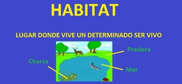 que es un habitat