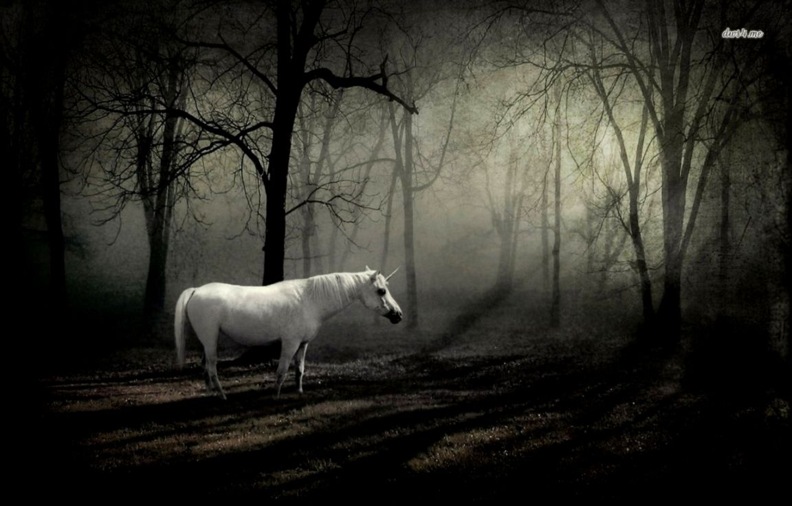 Related Pictures squirrels nuts funny pictures