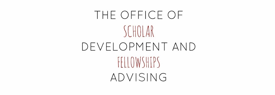 Temple University Fellowships Advising