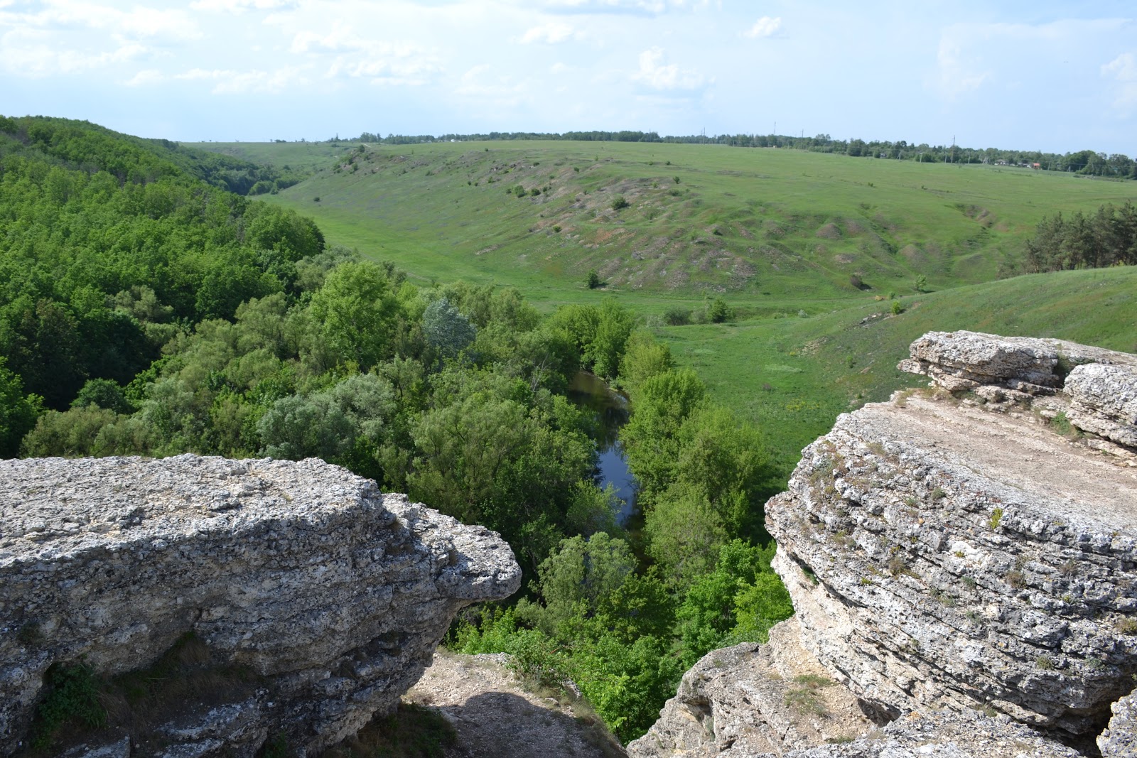 Липецк Дивногорье