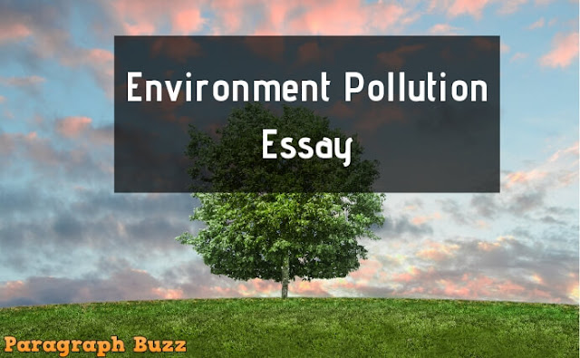 Environment essay writing