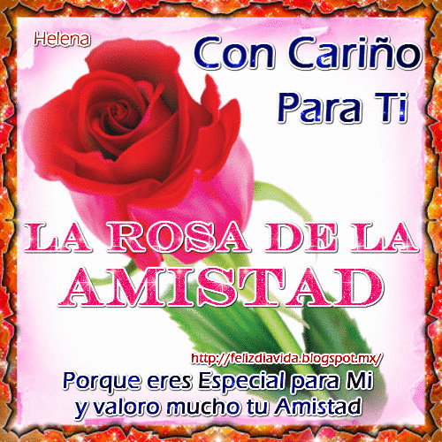 Rosa de la amistad – Mujer Bella Y Audaz
