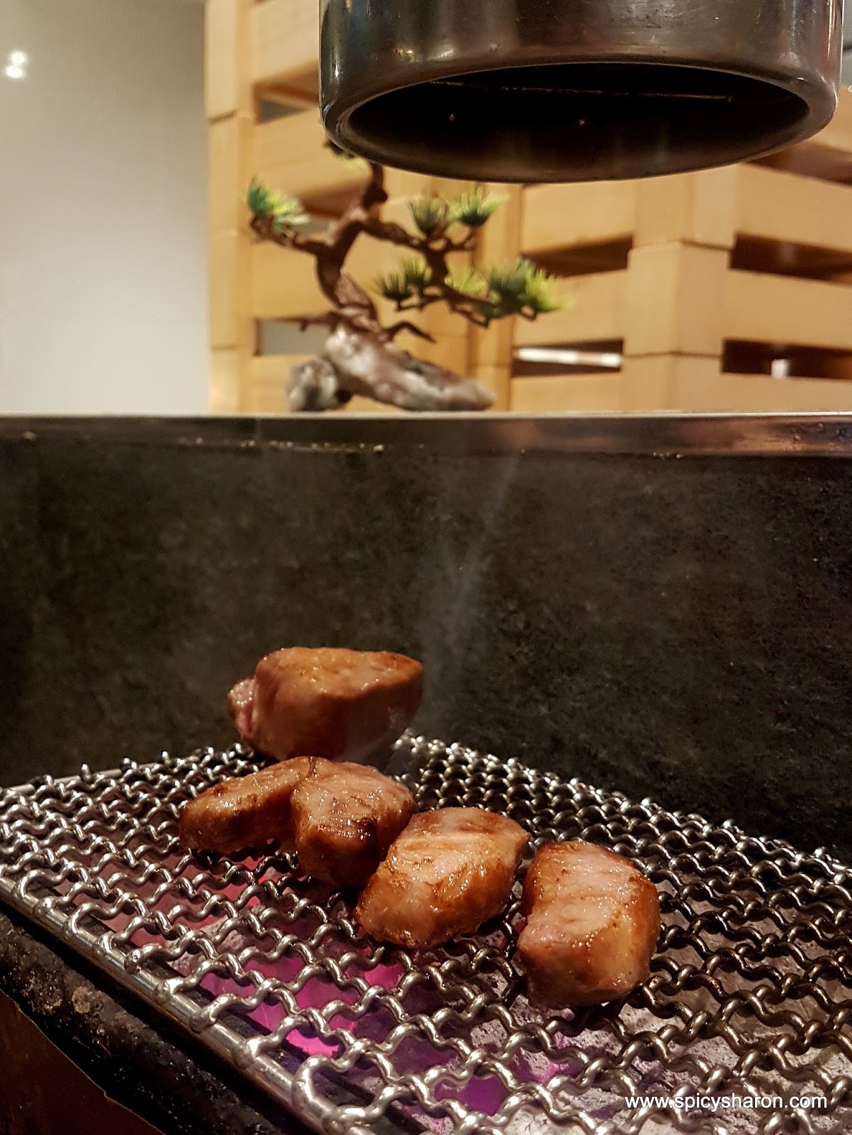 Shin Nihon Yakitori Japanese Restaurant Sri Hartamas KL Food Review