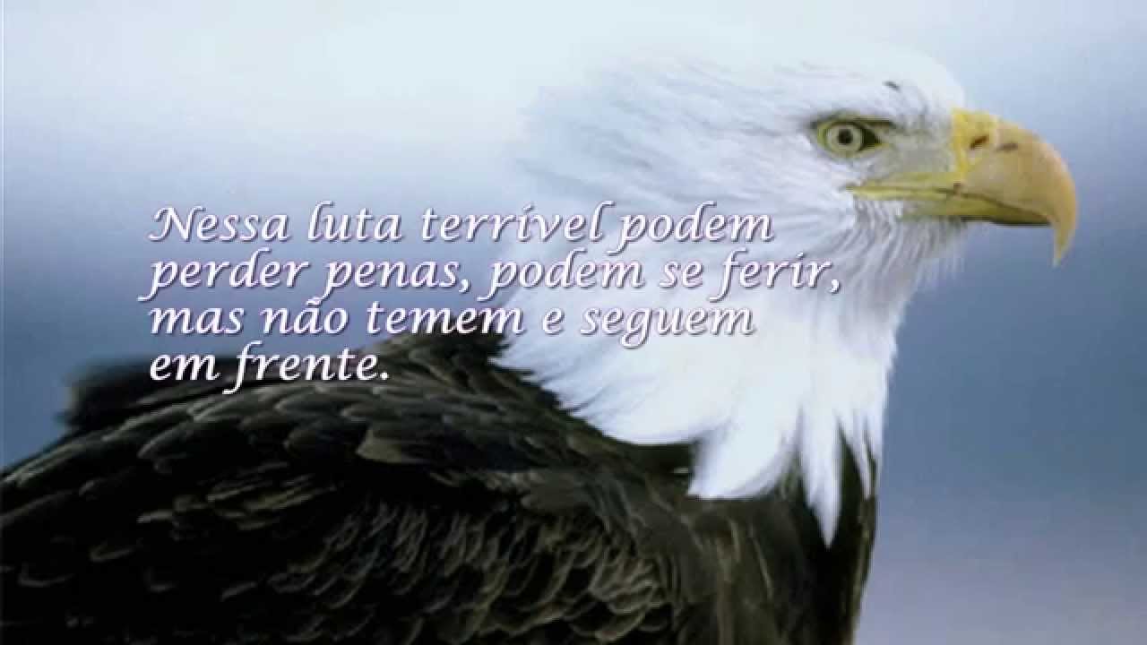 O Benfica das águias nobres