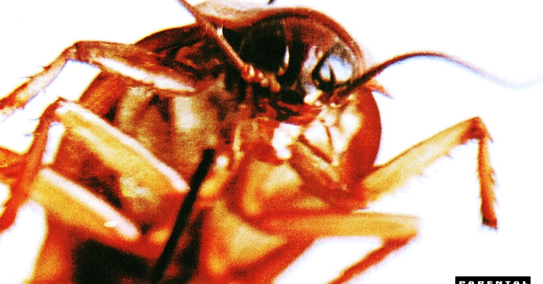 Papa Roach Infest (2000) ☠ Mediasurfer.ch